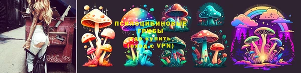 гидропоника Абаза